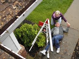 Gutter Cleaning Service