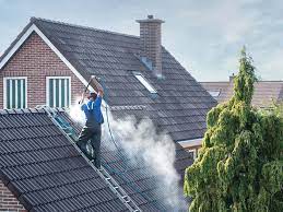 Roof Cleaning Service