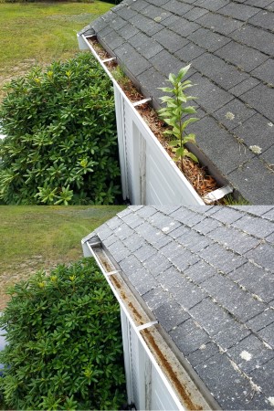 Protect Your Roof