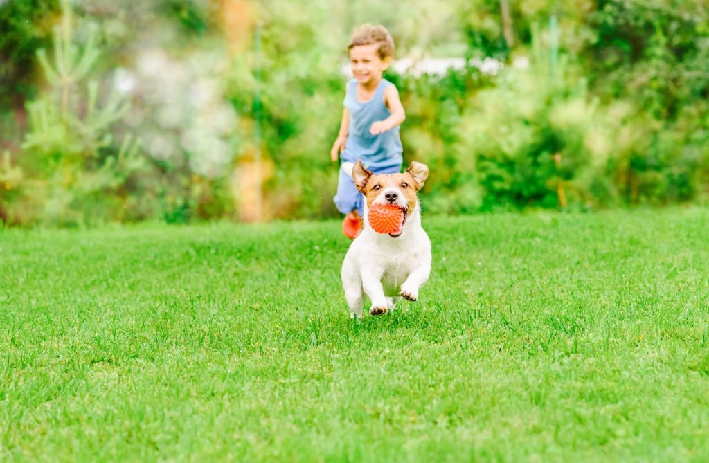 https://www.idahoorganicsolutions.com/lawn-services/fertilizing/