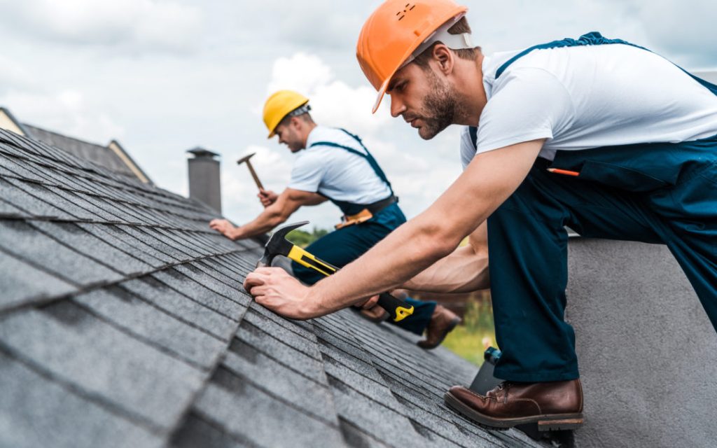 Professional Roofing Contractors